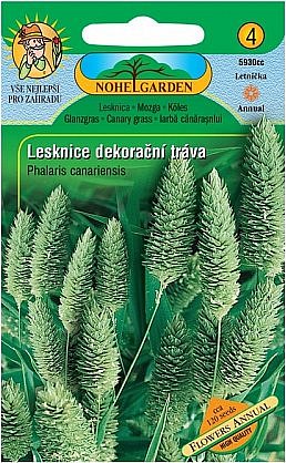 Lesknice kanárská - dekorační tráva, 120 semen