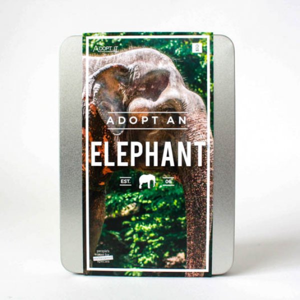 Gift Republic - Darovací certifikát - Adoptuj slona