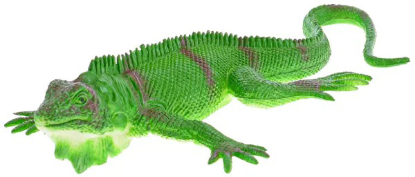 Zvířata obojživelník 12-23cm plastové figurky zvířátka 6 druhů
