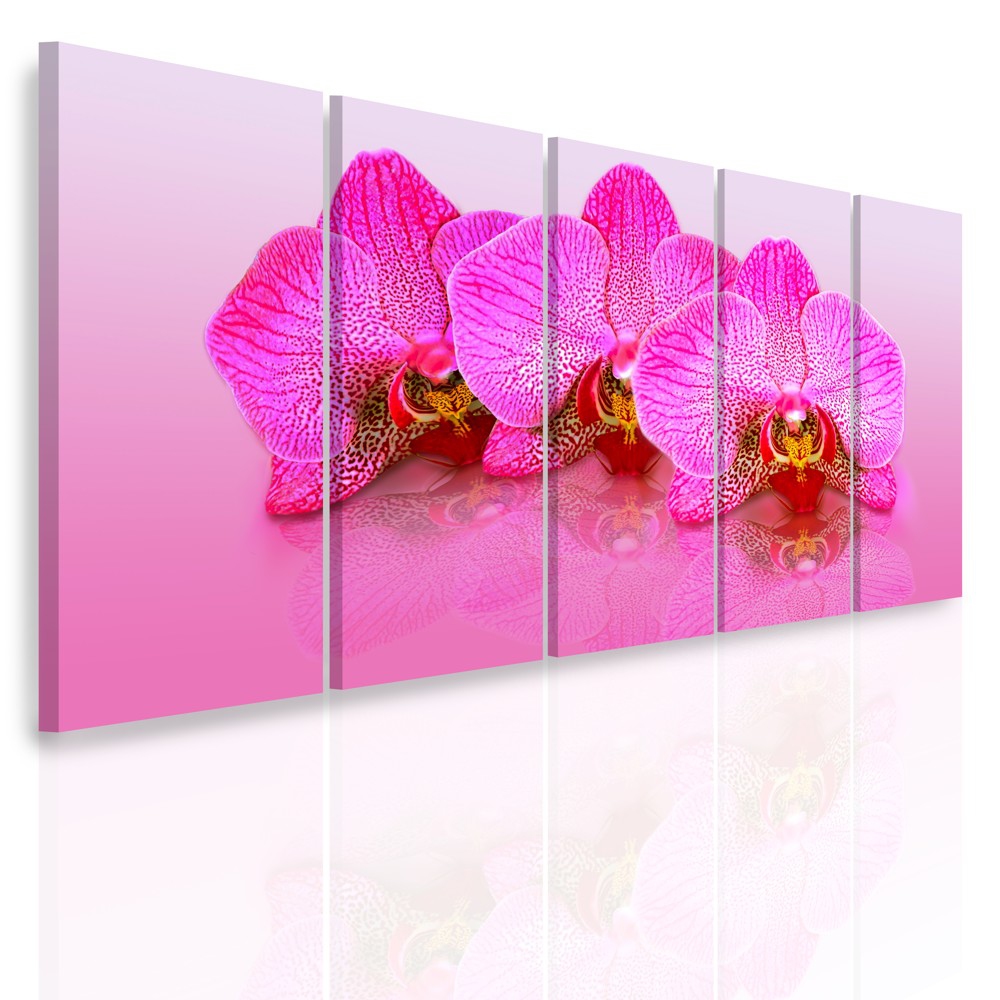 Vícedílný obraz - Růžové orchideje - 150x70 cm