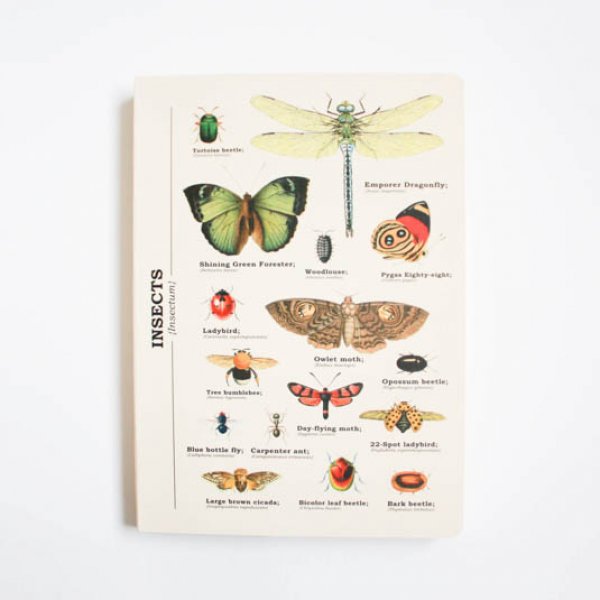 Gift Republic Ecologie - Linkovaný sešit A5 s hmyzem
