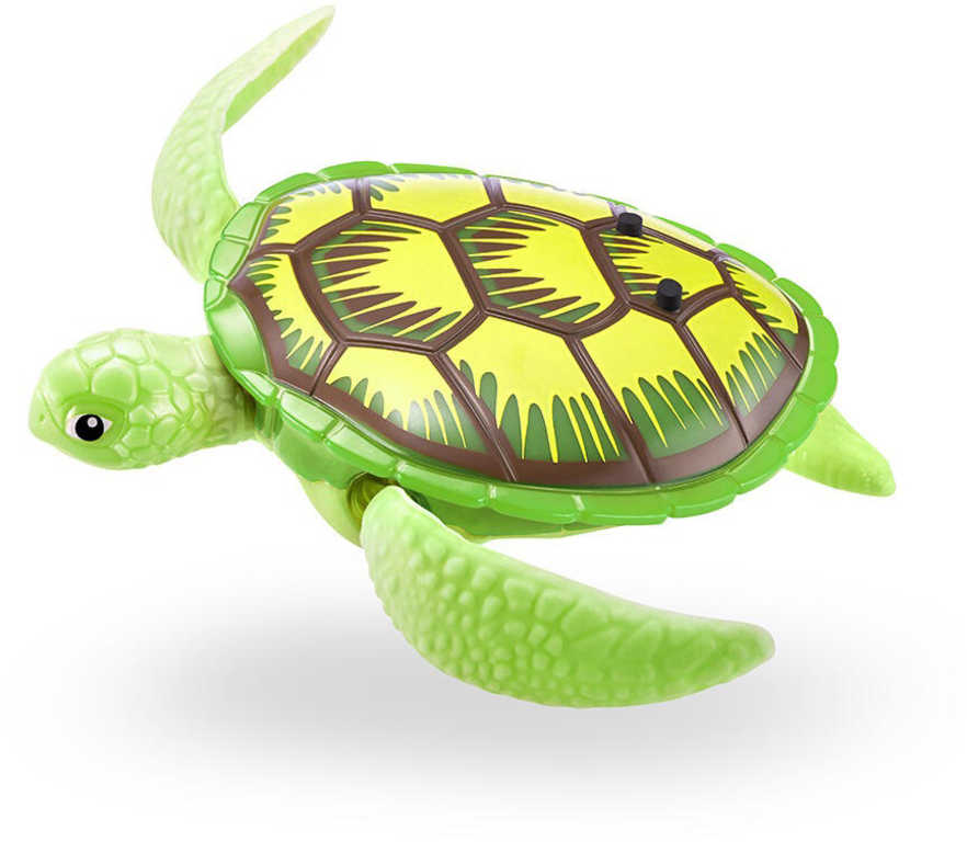 ZURU Robo Alive želva plave / chodí / potápí se na baterie 4 barvy