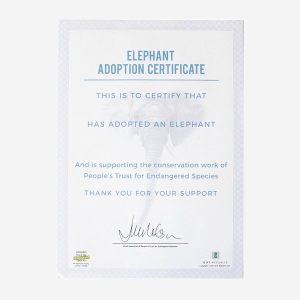 Adoptuj slona