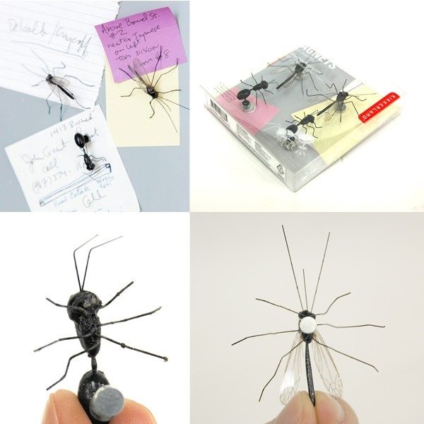 Hmyzí magnety - set