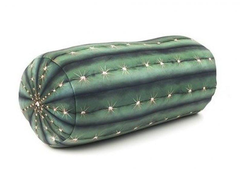 Kikkerland - Relaxační polštář - kaktus