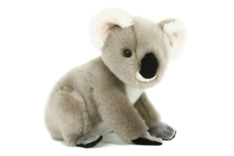 Plyš Koala 20 cm