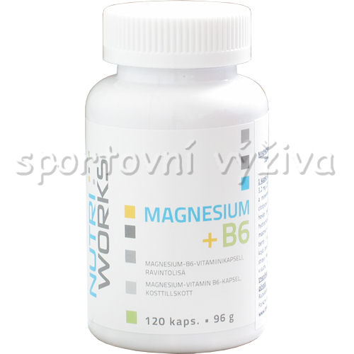 Magnesium + B6 120 kaplí