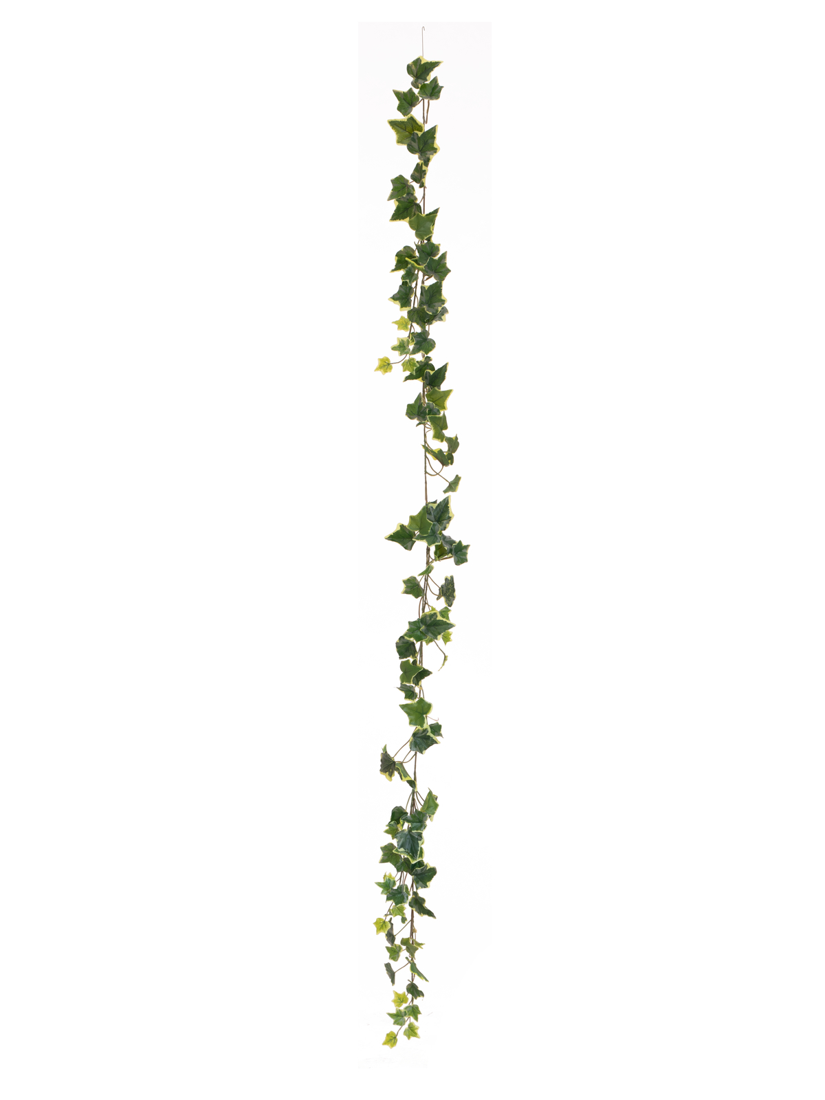 Europalms girlanda Holandského břečťanu, Umělá, 180cm