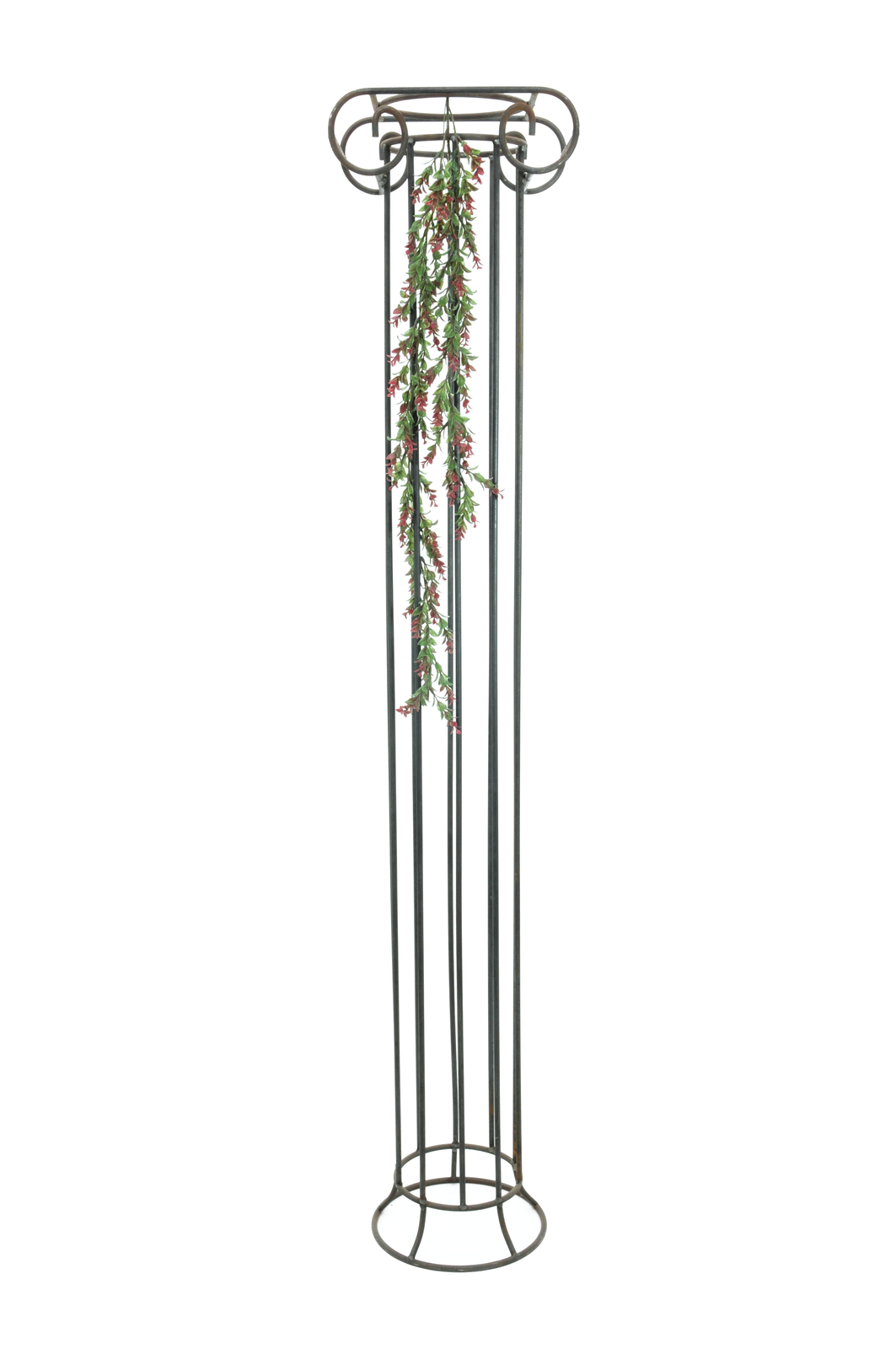 Šlahoun zeleno-červené rostliny, 105 cm