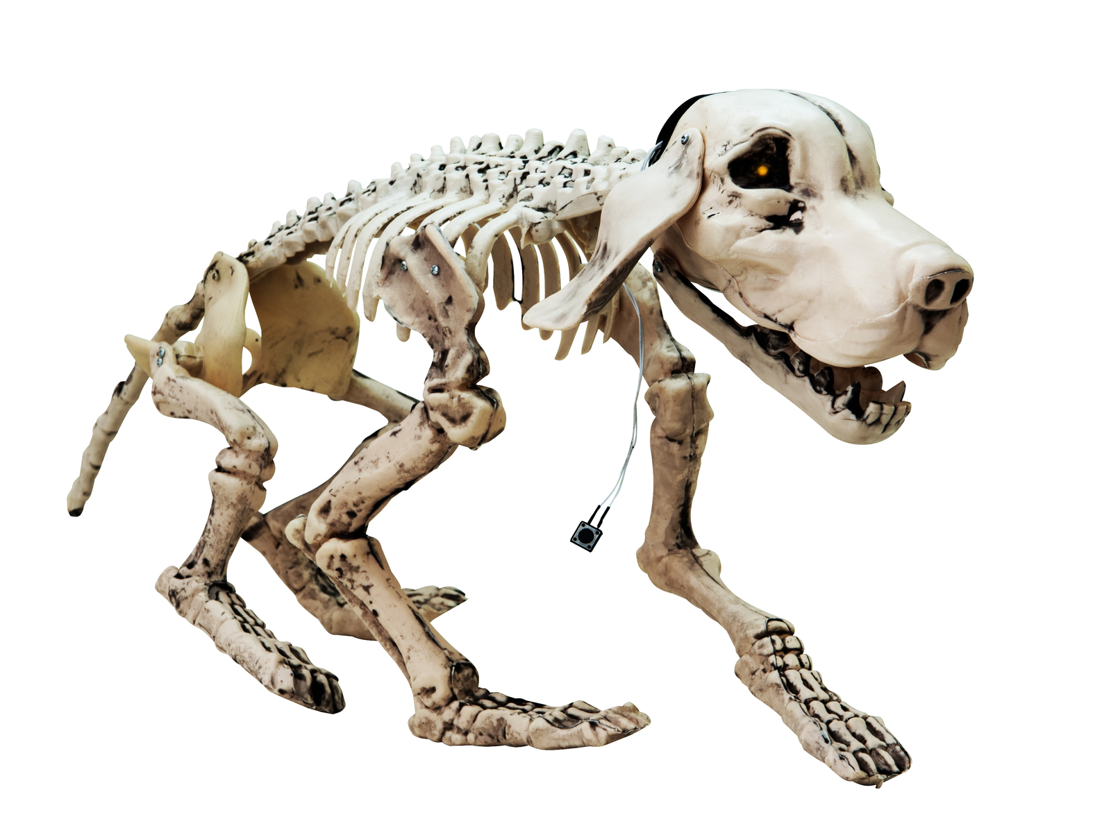 Halloween kostlivec psa, 40cm