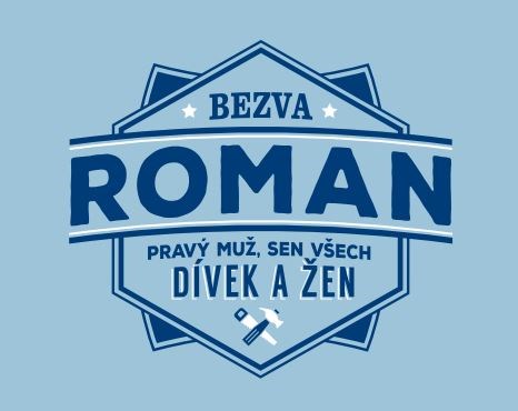 Plecháček - Plecháček - Roman