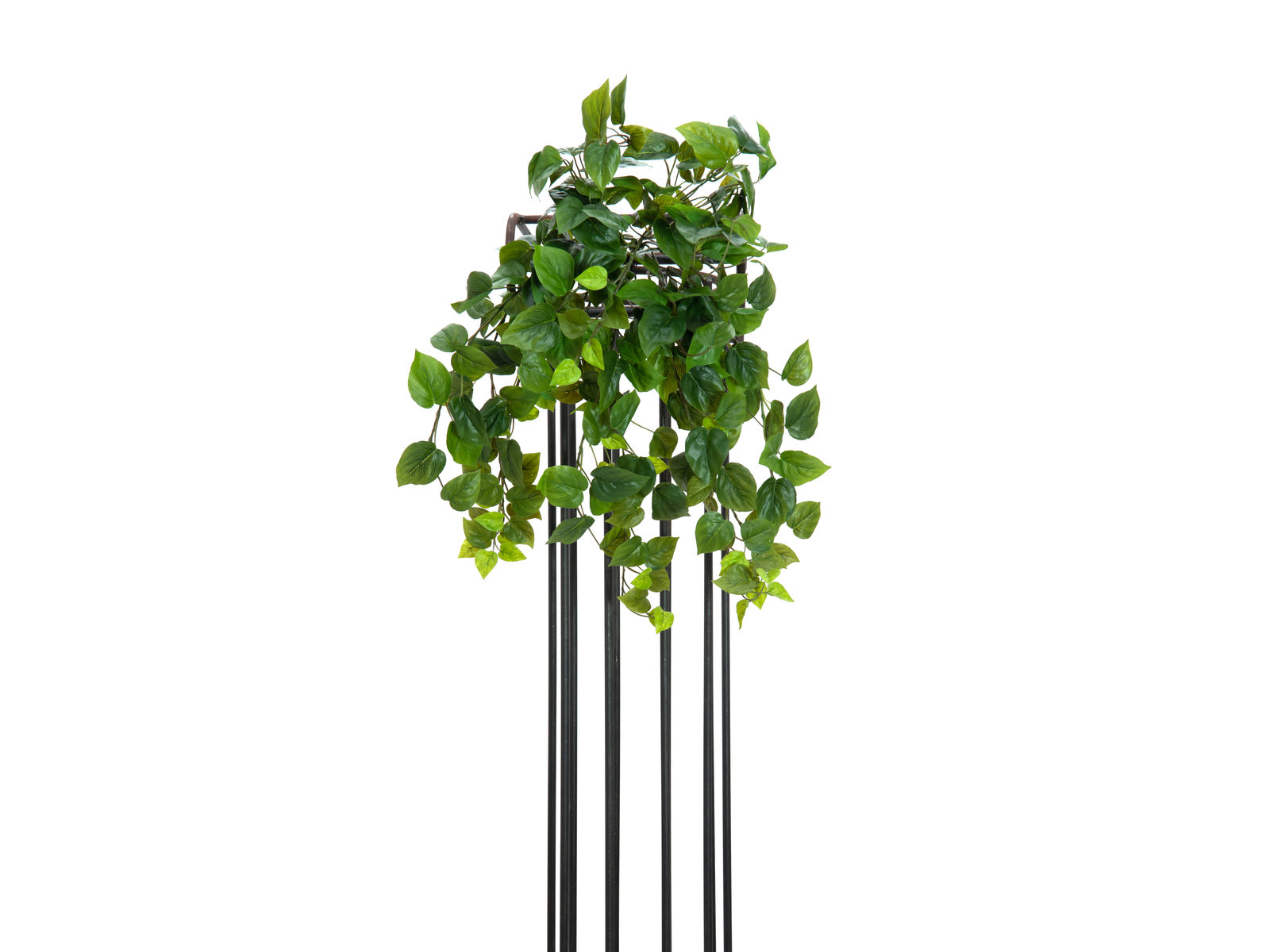 Girlanda Philodendronu, 50 cm