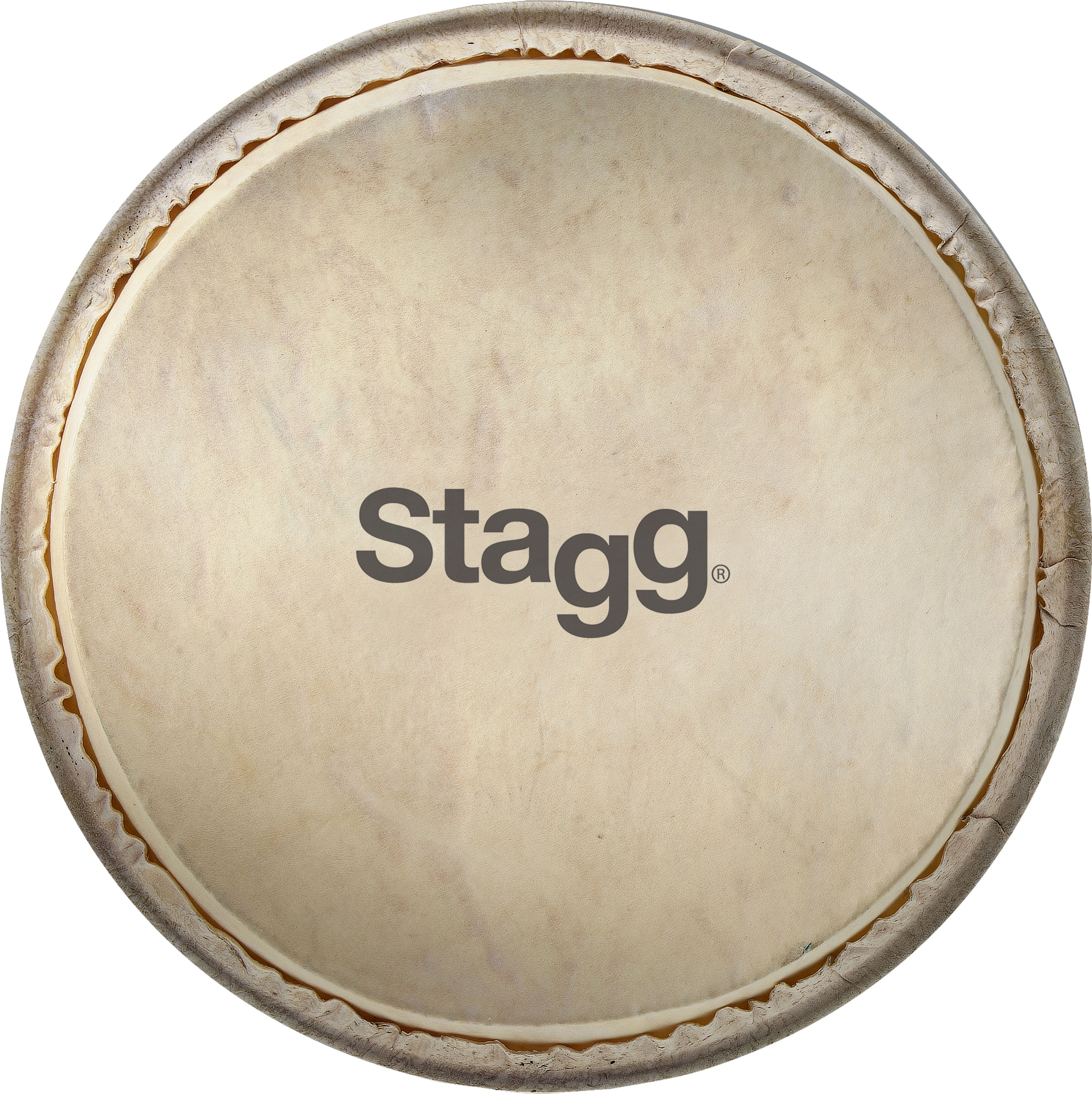 Stagg DPY-10 HEAD, 10" blána pro djembe DPY