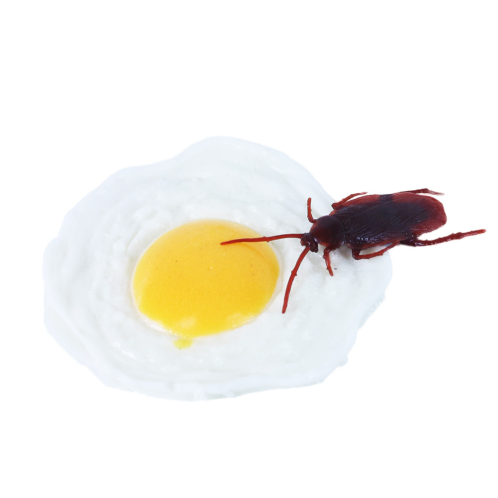 Dekorace vejce se švábem