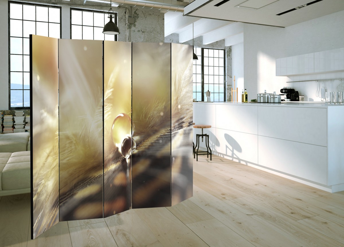 Paraván kouzelné peří - 225x172 cm