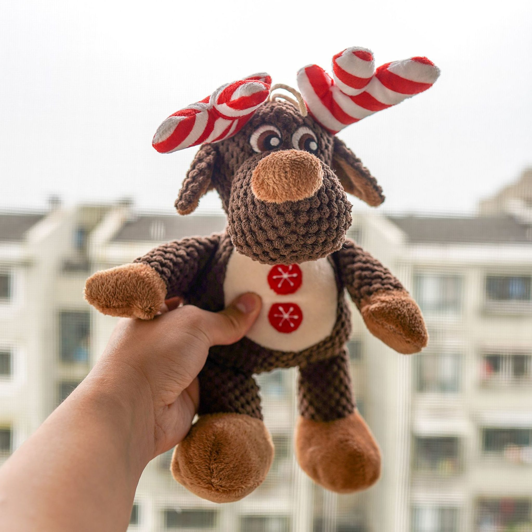 Reedog vánoční sob Rudolf, plyšová pískací hračka, 35 cm
