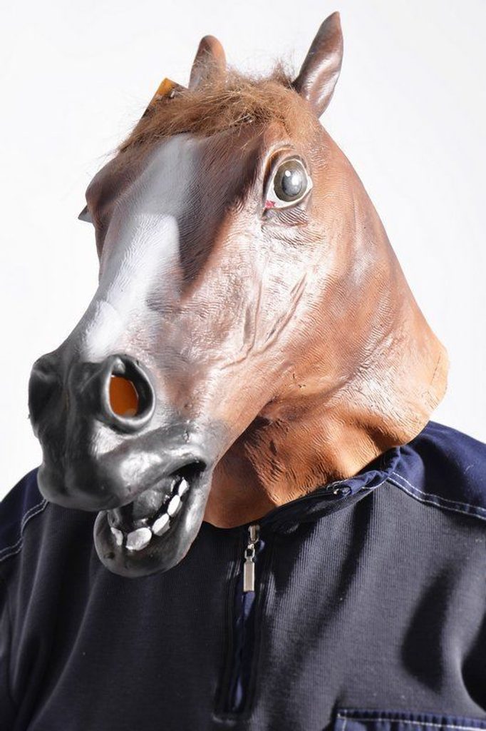Maska - hlava koně