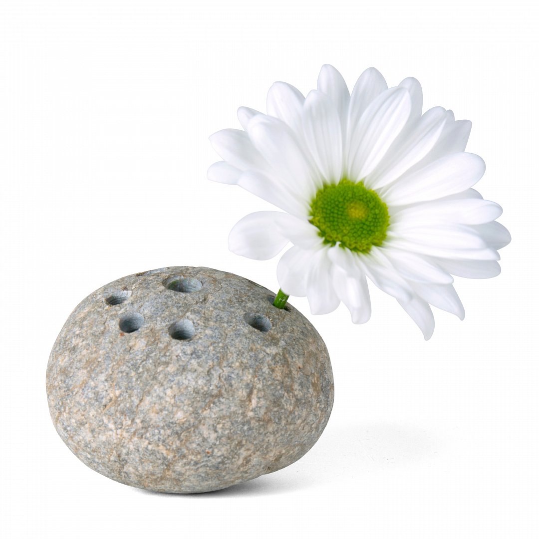Květy v okrasném kameni