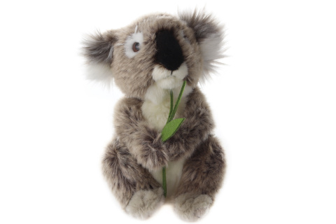 Plyš Koala 17 cm