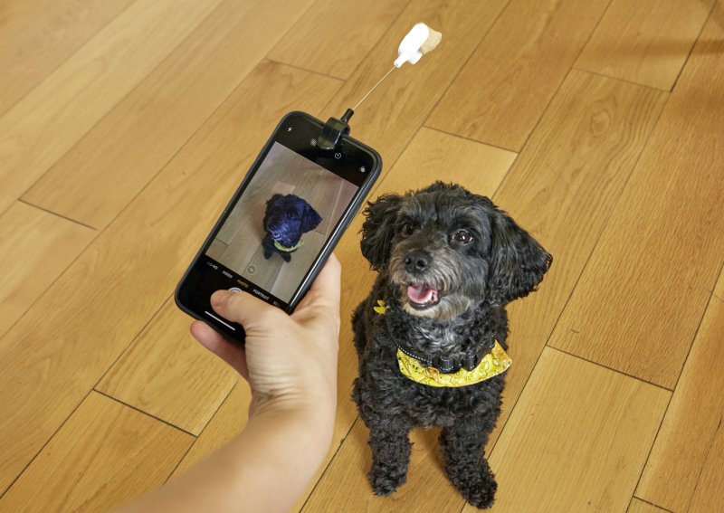Pomocník pro psí selfie