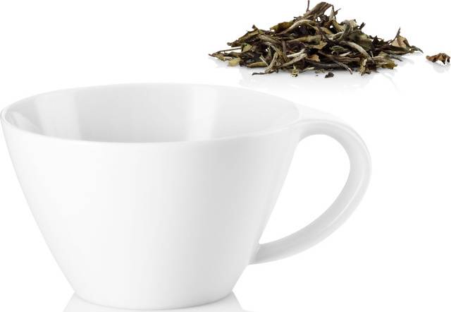 Šálek na čaj Amfio, bílá, 861057