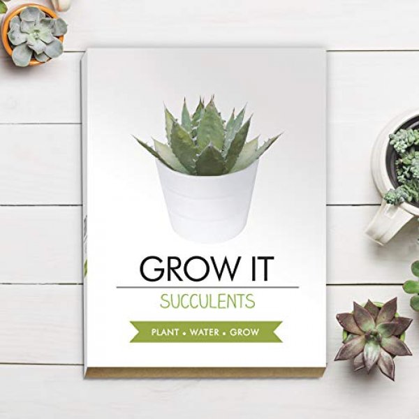 Grow it - sukulent