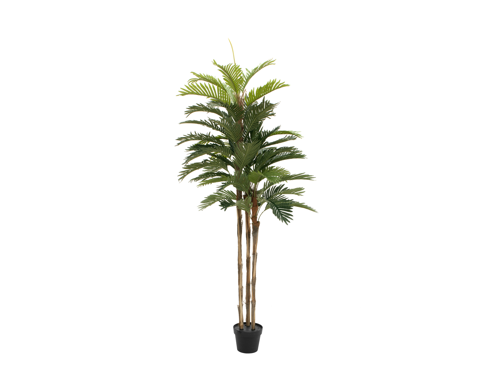 Europalms Kentia palma, umělá rostlina, 150cm