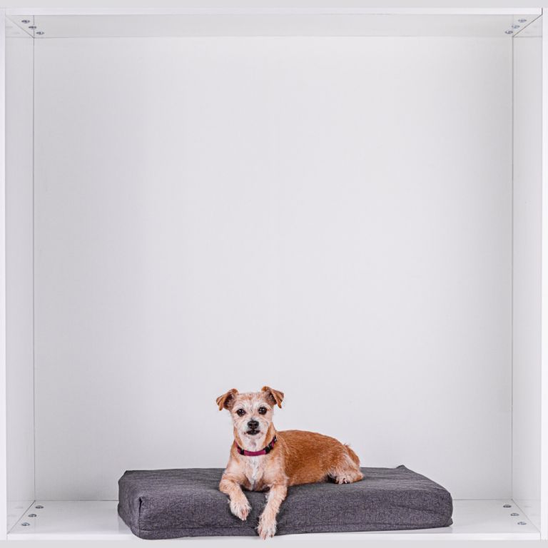 Polštářek pro psa velikost S, světle šedý, 79 x 60 x 10 cm