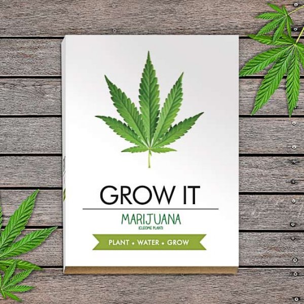 Grow it - vypěstuj si marihuanu