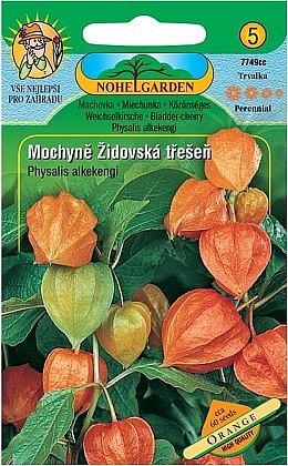 Mochyně - Židovská třešeň, oranžová, 60 semen