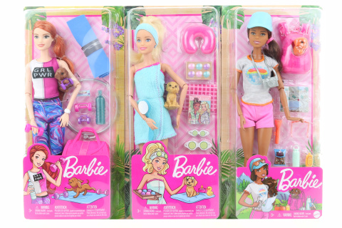 Barbie Wellness panenka GKH73