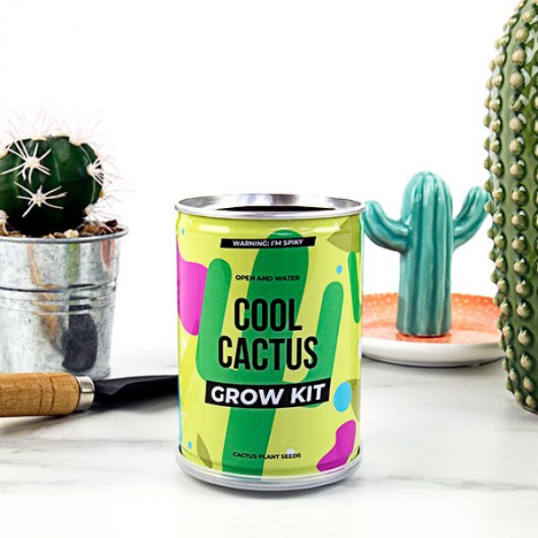 grow-tin-plechovka-kaktusu