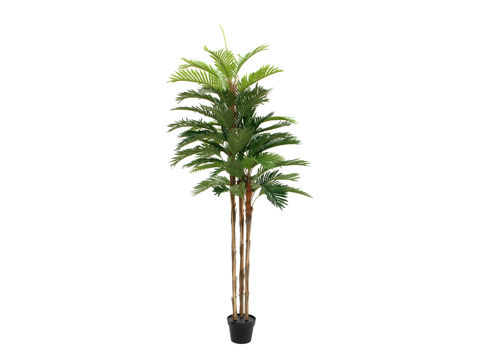 Europalms Kentia palma, umělá rostlina, 180cm