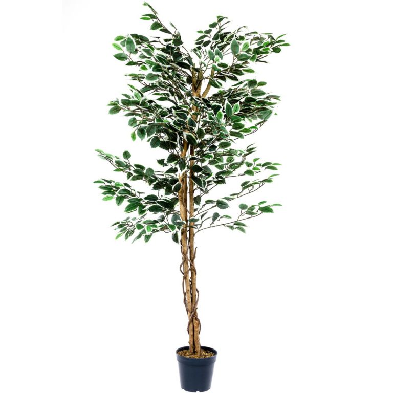 Umělý strom rostlina - fíkus - 160 cm