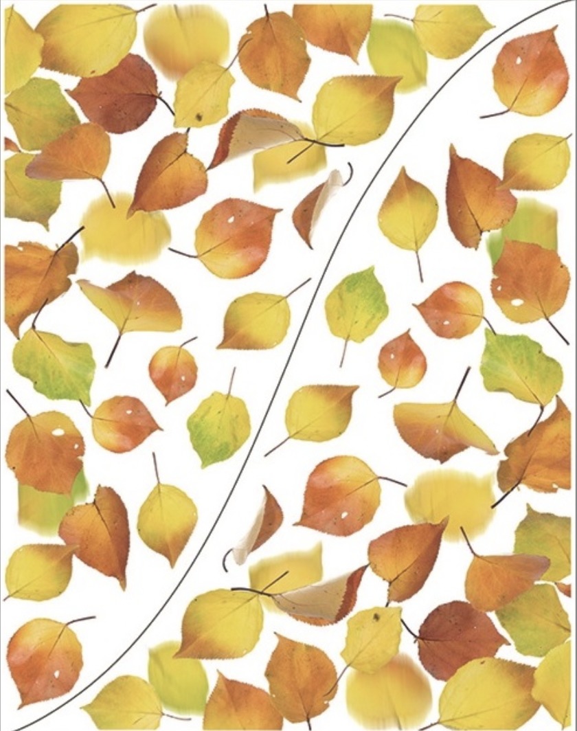 Okenní fólie rohová 42x30 cm, podzimní listí B