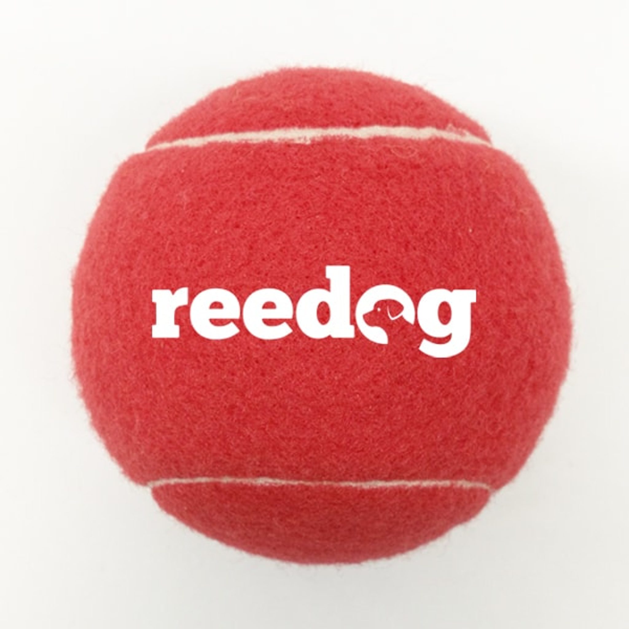 Reedog tenisový míček pro psa - XS