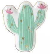 Talířek - Kaktus