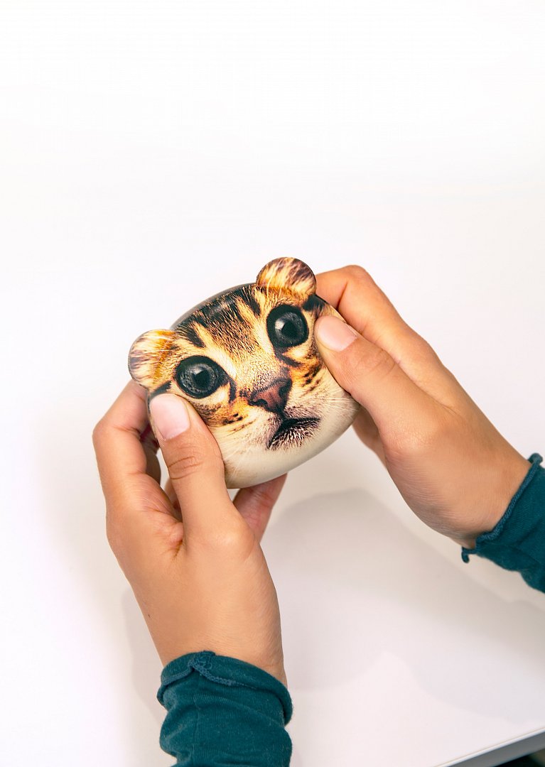 Gadgets House - Antistresová pomůcka - divoké kočičky