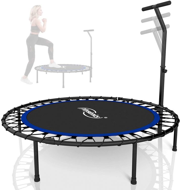 physionics-fitness-trampolina-na-doma-i-ven-101-cm-modra