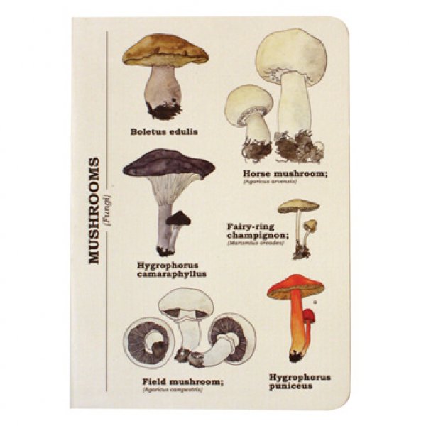 Gift Republic Ecologie - Blok s houbami A6