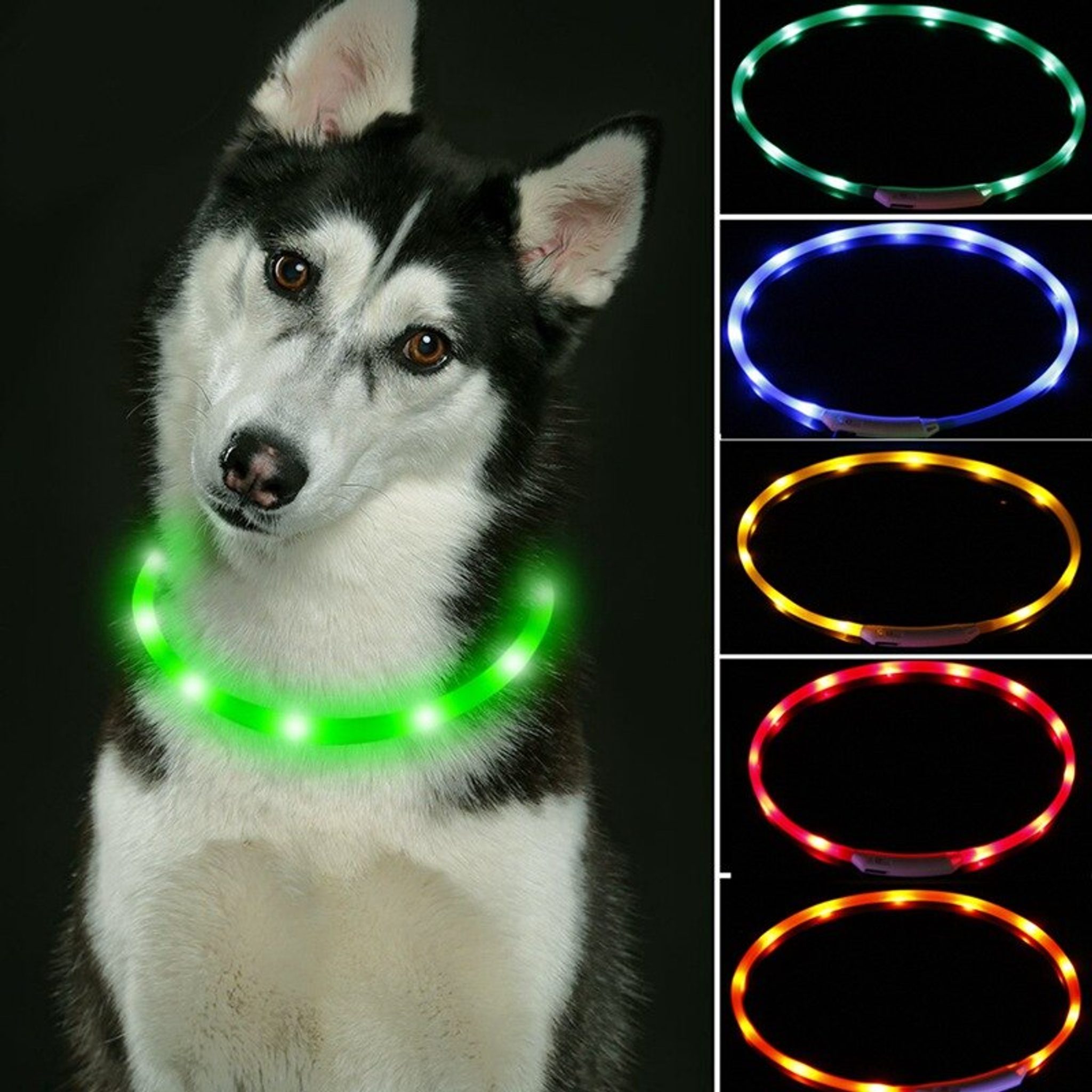 Reedog Easy Light USB dobíjecí svítící obojek pro psy a kočky - Zelená