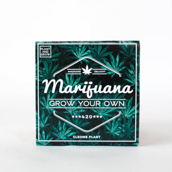 Vypěstuj si vlastní "Marihuanu"