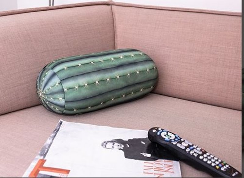 Relaxační polštář - kaktus