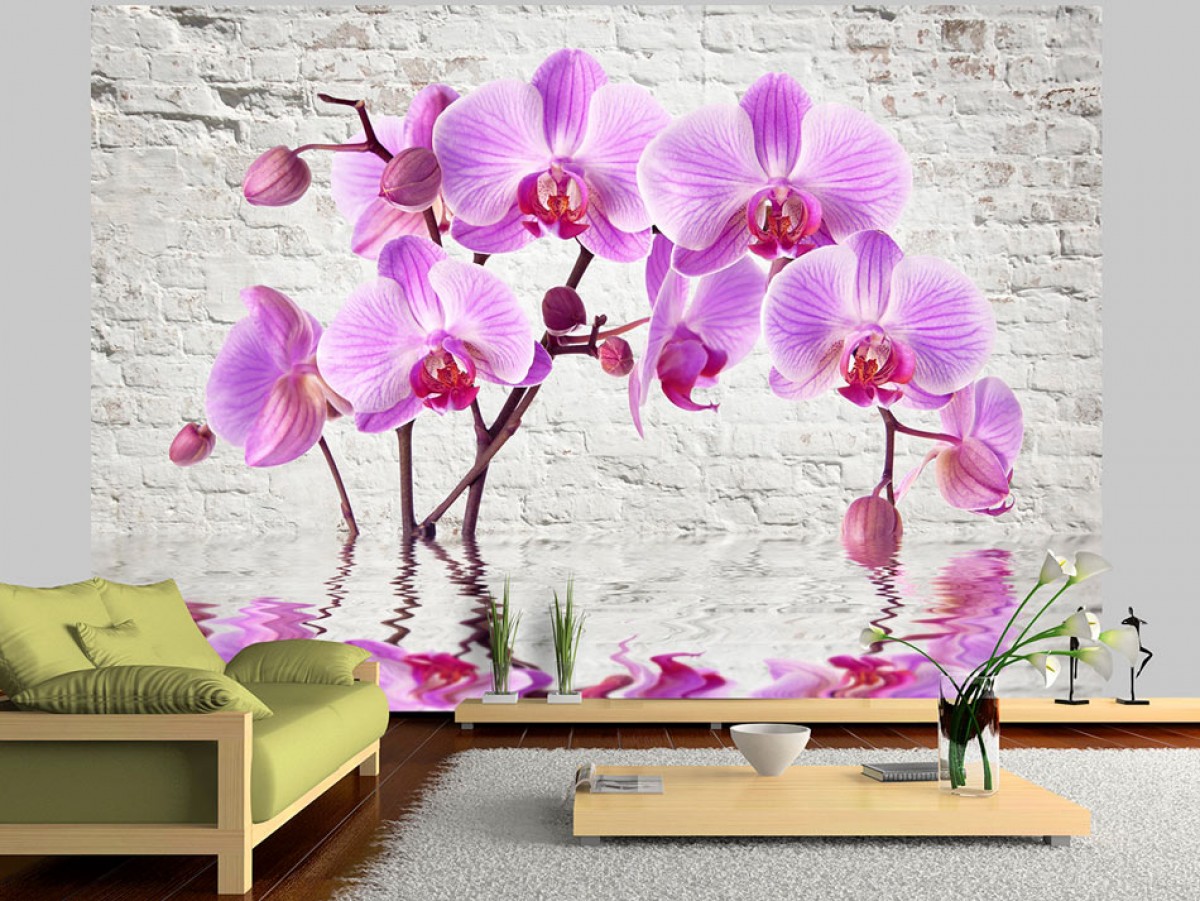 Tapeta odraz orchidejí