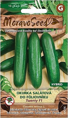 Okurka salátová TWENTY F1 - hybrid, do fóliovníku 64206, 10 semen