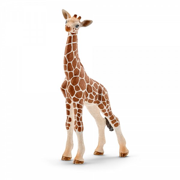 Zvířátko - mládě žirafy